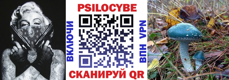 Псилоцибиновые грибы Magic Shrooms  Тихорецк 